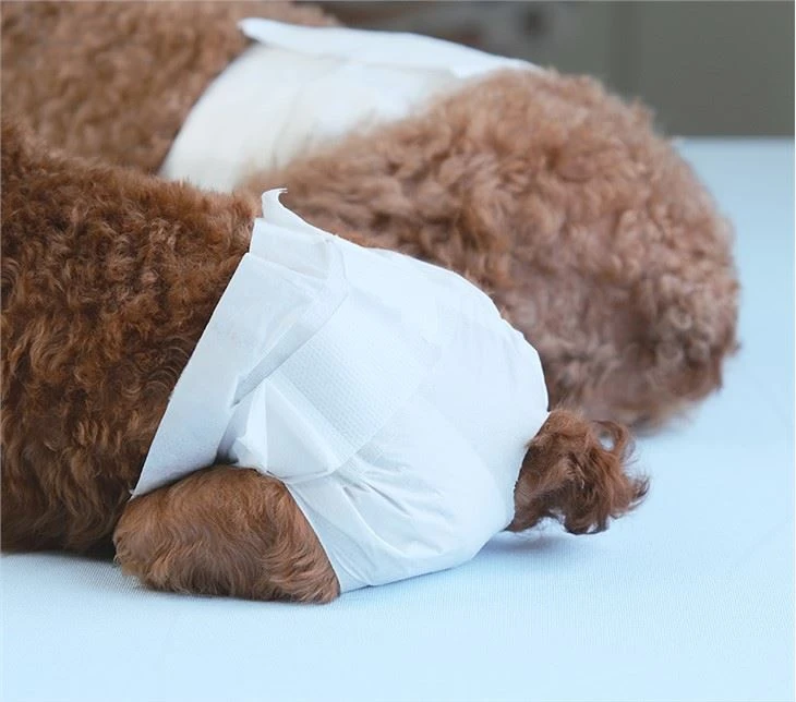 Kæledyrsble Hvalp Hund Fysiologiske Bukser Hundeundertøj Hundeundertøj Hanhundesikkerhedsundertøj Hanhund