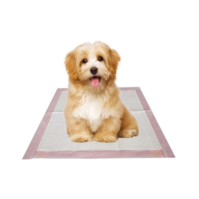 Engangskirseblomst essentiel oliehund Pee Pads