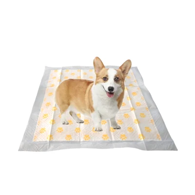 Tianjin Yiyi ph Test Health Monitoring Dog Pee Pad